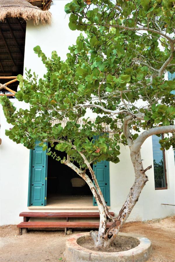 La Puerta Azul Beachfront - Adults Only Isla Holbox